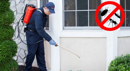 Solhan Fare İlaçlama böcek ilaçlama ve haşere kontrolü — ilaclama-tr.com